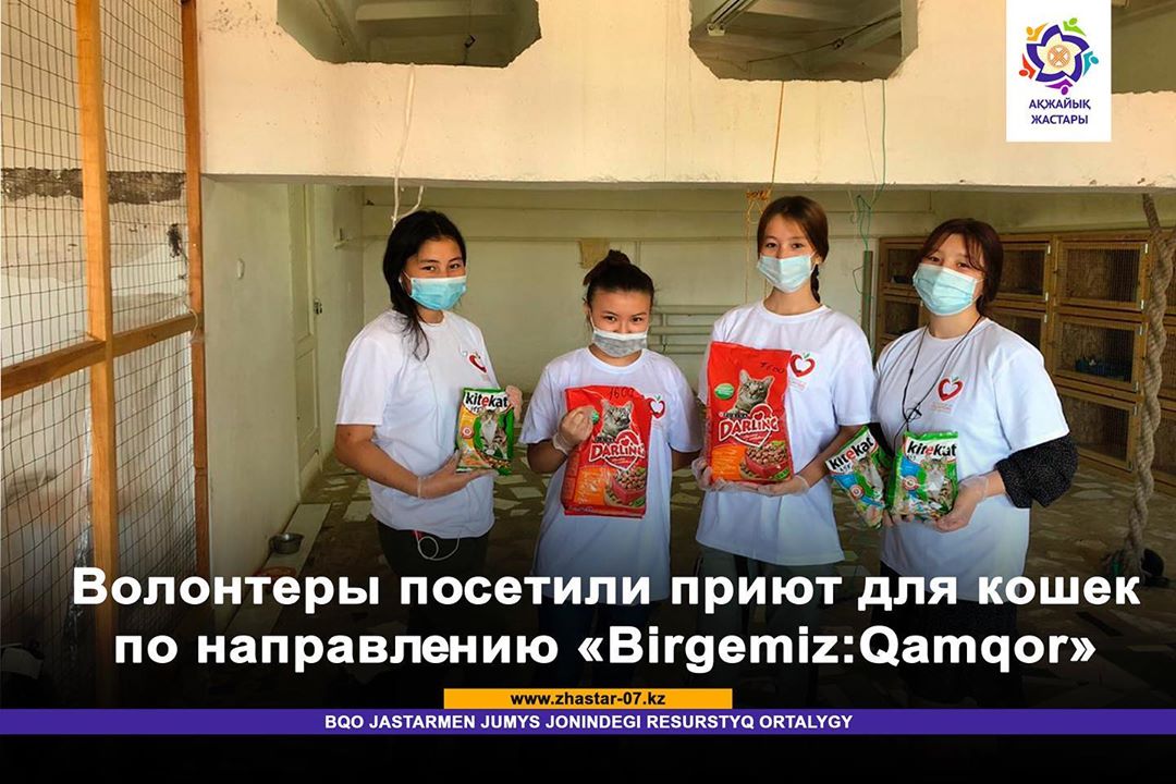 Орал қаласындағы “Мысықтар үйі»